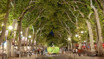 Aix en Provence